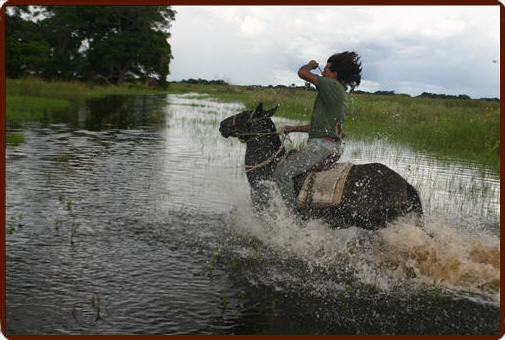 Pantanal Horse Back Riding