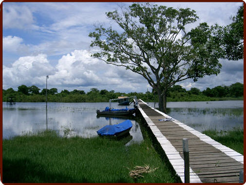 Pantanal River